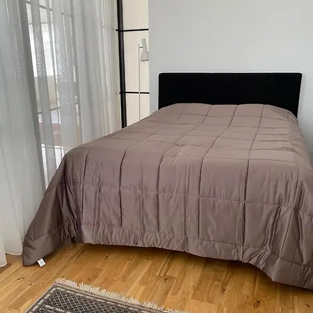 Lomahuoneisto Wanha Apartman *