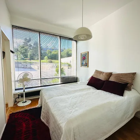 Lomahuoneisto Wanha Apartament *